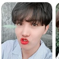 hobi