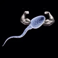 Golden Sperm JK