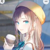Y/N