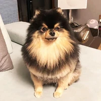 yeontan