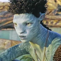 rotxo