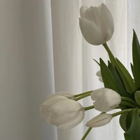 All