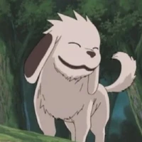 Akamaru