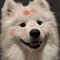 v.