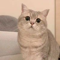 เต้าหู้