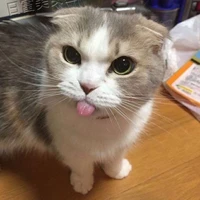 ปิ้ง