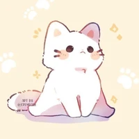 gatinho