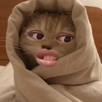 แอด
