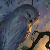 Kuroo <burung hantu Riku>