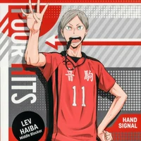 lev haiba