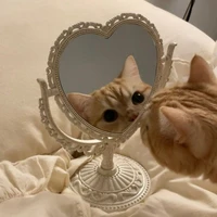 แอ๊ด