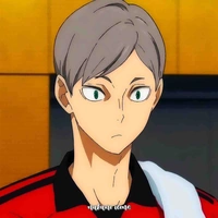 Lev