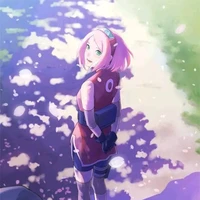 sakura
