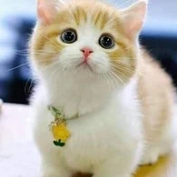 ฮิริ+นายเอก
