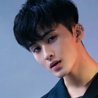 LEE MARK