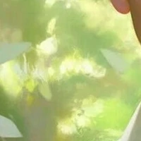 Extra