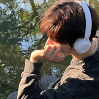 ทิวลิป(พ.อ.4)