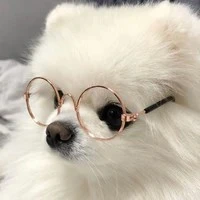 แอดเองจ้าา😺✨