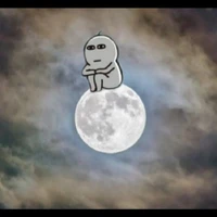 Lonely Author