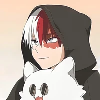 shoto todoroki