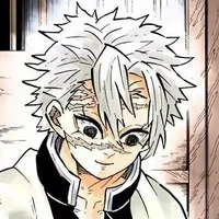 💨 Sanemi Shinazugawa 💨