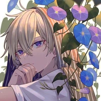 โนวาเอล แองเจิ้ลลิซเดอมิลเลอร์(คิรัวร์)