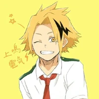 Denki Kaminari (picakhu)