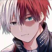 Shoto Todoroki (meio a meio)