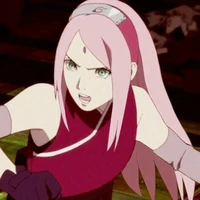 Sakura (M)