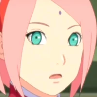 Sakura (B)