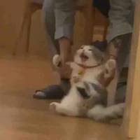 เเอดเอง
