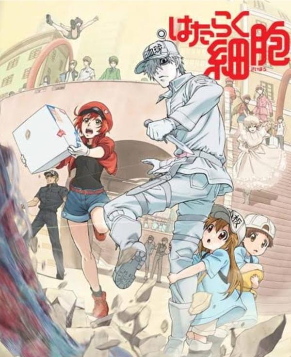 NovelToon