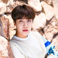 Jung Hoseok/J-Hope