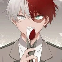 todoroki ( o.p.p)