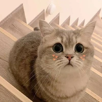 แหๆๆแอดมีนเองค่ะ