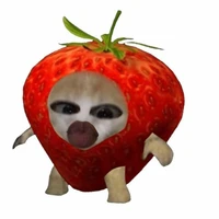 autora