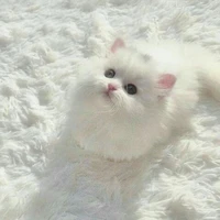 ฟูจิ