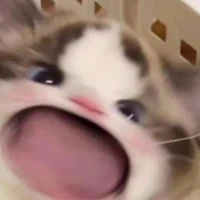 ??