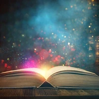 enchanted book