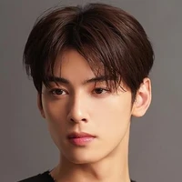 CHA EUNWOO BERWYN