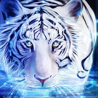 hakiri [raja harimau putih]