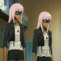 เชลแบล็คโล