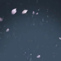 someone
