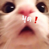 ต.ป.ก
