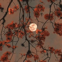 PADRES-hyunjin y felix