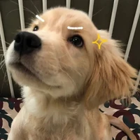 แอด