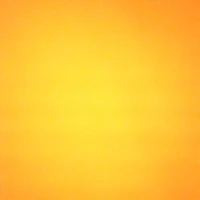 novo funcionário
