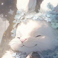 Koko Magical Rabbit