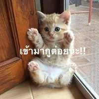 เเอด