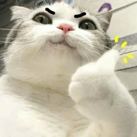 แอด💗